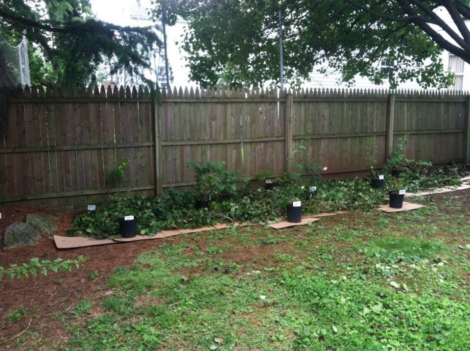 photo 1148849_10151581509737285_1885355758_n.jpg